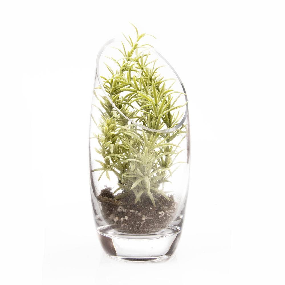 Chive - Glass Terrarium Bowl