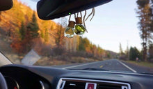 Load image into Gallery viewer, Green Valley Made - Car Diffusers | Air Fresheners: Black Coral &amp; Moss
