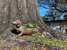 Load image into Gallery viewer, Zeckos - Resin Distressed Rustic Brown Finish Dachshund Dog Planter
