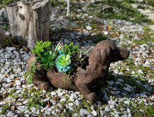 Load image into Gallery viewer, Zeckos - Resin Distressed Rustic Brown Finish Dachshund Dog Planter
