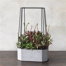 Load image into Gallery viewer, HomArt - Indio Planter - Wide - Cement
