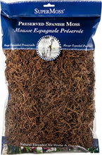 Load image into Gallery viewer, SuperMoss - Preserved Spanish Moss: Basil
