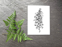 Load image into Gallery viewer, Liz Pope Designs - Plant hand drawn spring card, Foxglove botanical stationary
