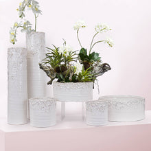 Load image into Gallery viewer, Galore Home - Lunar Ceramic Pot - Small Dish Garden: CDG13W: H-4.75&quot; D-10.5&quot; / White
