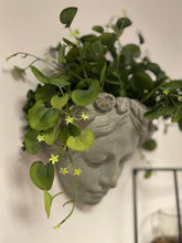 Load image into Gallery viewer, Vagabond Vintage - Wall Art Cement Girl Planter
