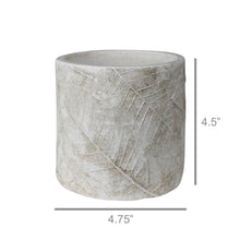 Load image into Gallery viewer, HomArt - Poplar Cachepot, Cement - Sm: Cement / White
