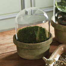 Load image into Gallery viewer, Napa Home &amp; Garden - Weathered Garden Terrarium Small
