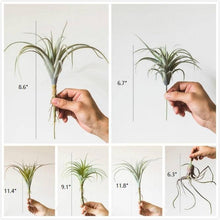 Load image into Gallery viewer, Rustic Reach - Artificial Tillandsia Capitata Air Plant Stem
