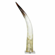 Load image into Gallery viewer, Blue Ocean Traders - Black and White Cow Horn on Base: Small
