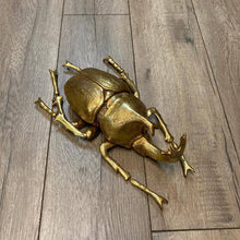 Load image into Gallery viewer, Modern World by Contrast Inc. - Gold Leafed Beetle Wall Decor
