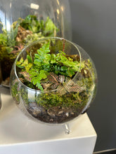 Load image into Gallery viewer, Designed Terrariums/ Planters
