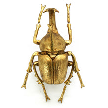 Load image into Gallery viewer, Modern World by Contrast Inc. - Gold Leafed Beetle Wall Decor
