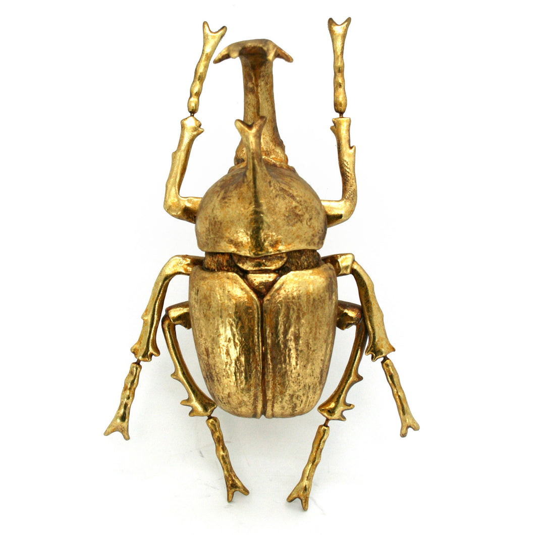Modern World by Contrast Inc. - Gold Leafed Beetle Wall Decor