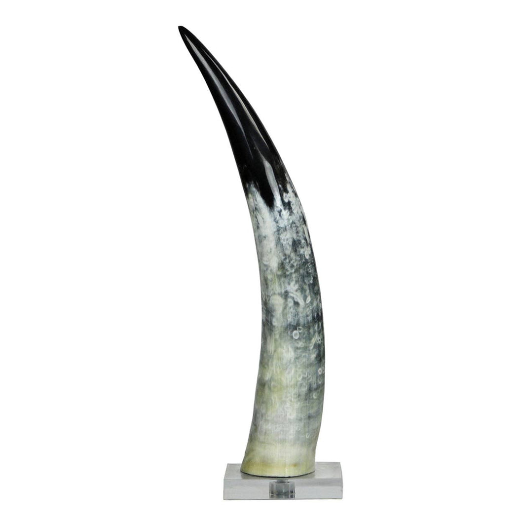 Blue Ocean Traders - Black and White Cow Horn on Base: Small