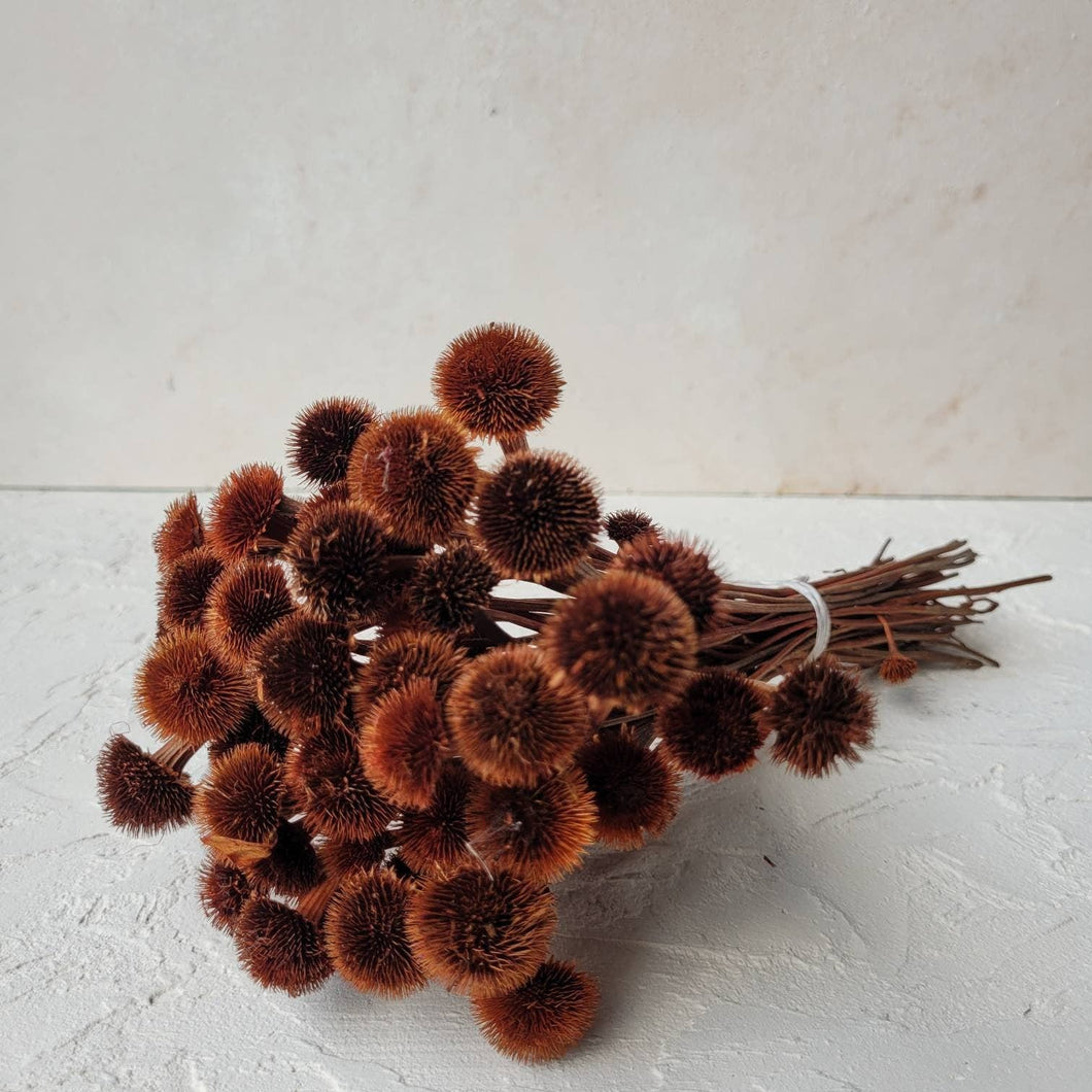 MY BOUQUETS - Dried Chrysanthemum, Dried Flowers Bouquet, DIY Wedding Flow