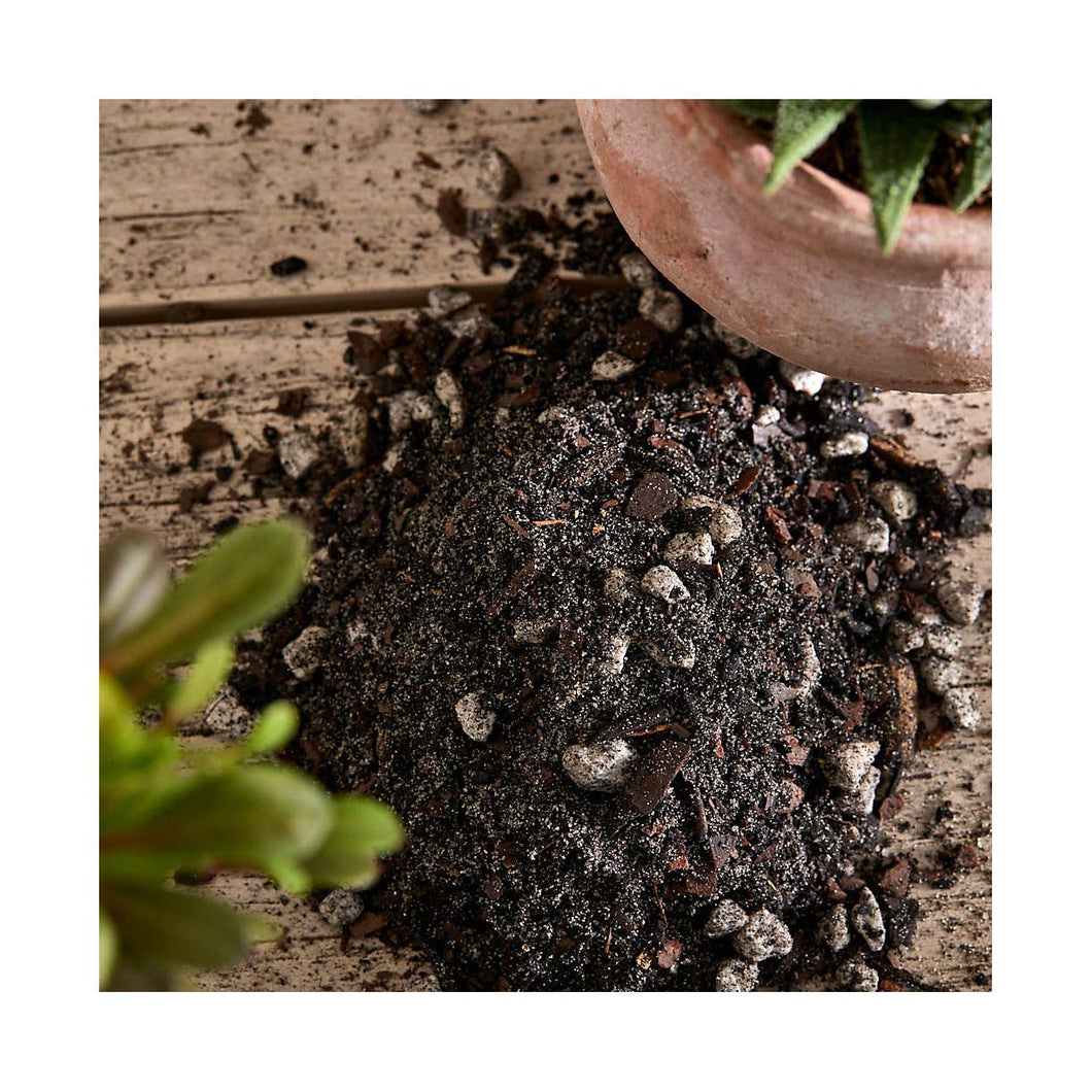 Rosy Soil - Bulk Organic Cactus & Succulent Mix
