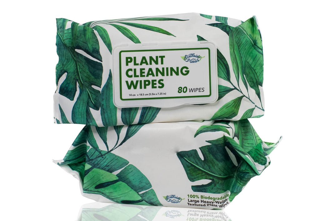 Southside Plants - Houseplant Cleaning Wipes