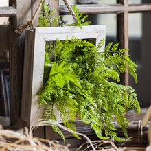 Load image into Gallery viewer, Rustic Reach - Green Plant Oba Fern in Wood Frame Plant Wall Art
