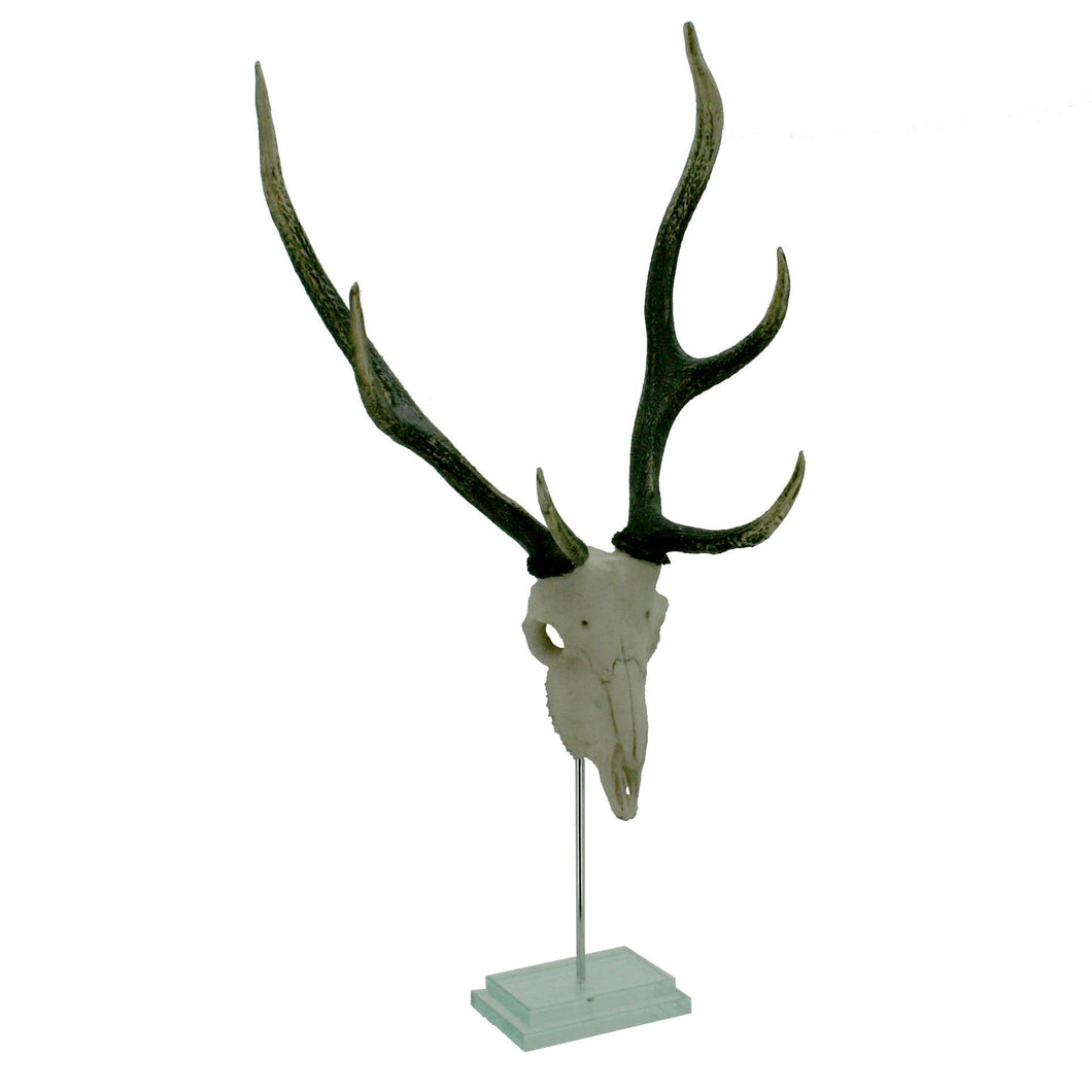 Modern World by Contrast Inc. - Natural Deer Skull Double Step Glass Base
