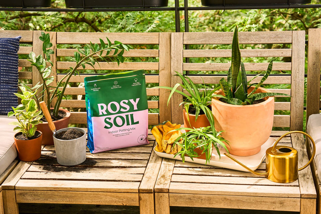 Rosy Soil - 4qt Organic potting soil mix, indoor, houseplant & herbs