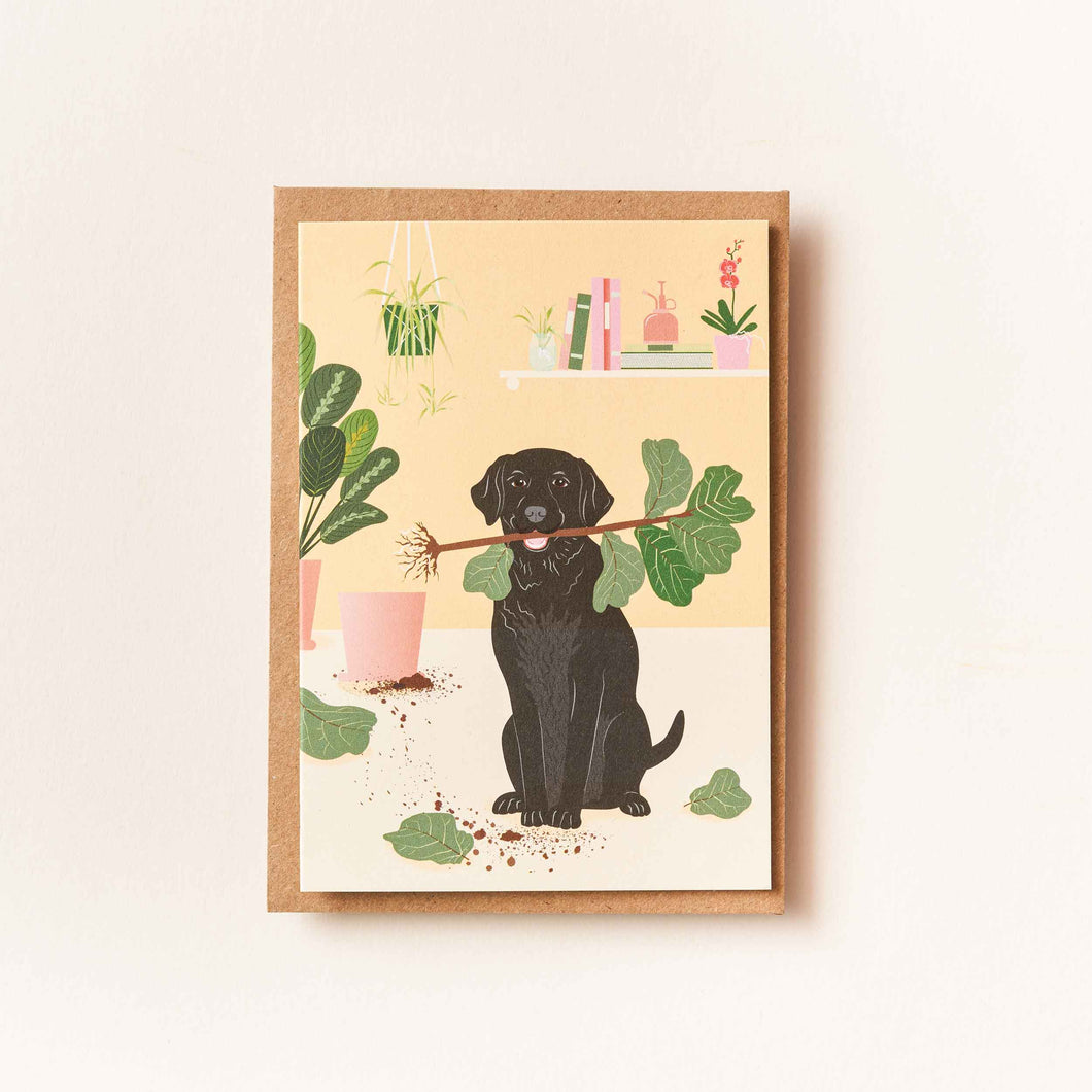 Another Studio - Labrador Dog - greetings card
