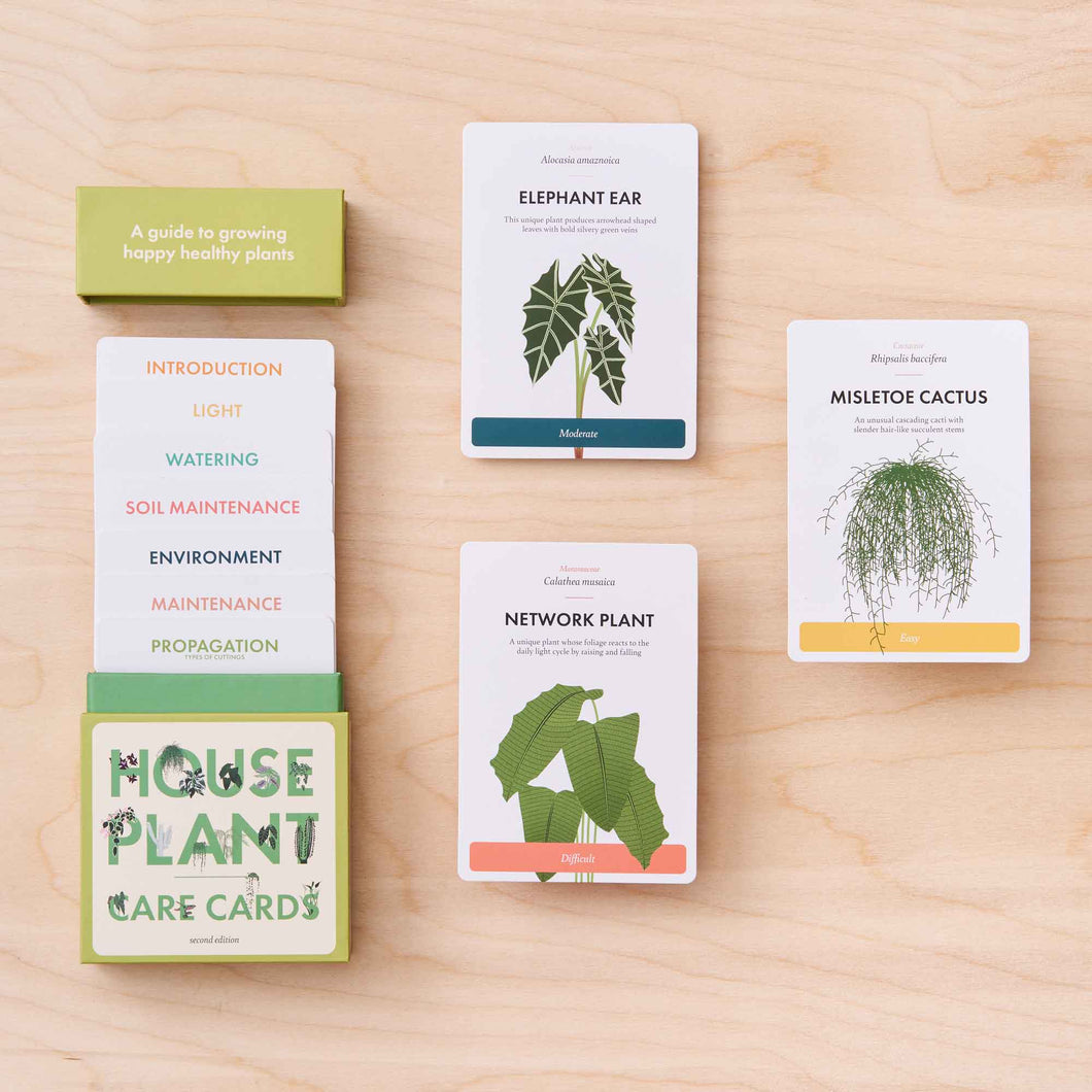 Another Studio - Houseplant Care Cards, Edition 2