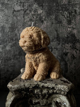 Load image into Gallery viewer, Agaboo Candle - Sweet Puppy Candle: Golden Honey
