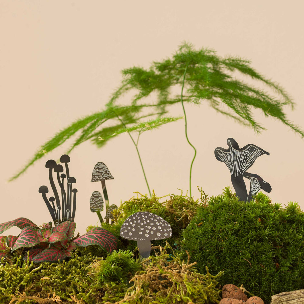 Another Studio - Mini Mushroom steel, Terrarium, houseplant and garden decor