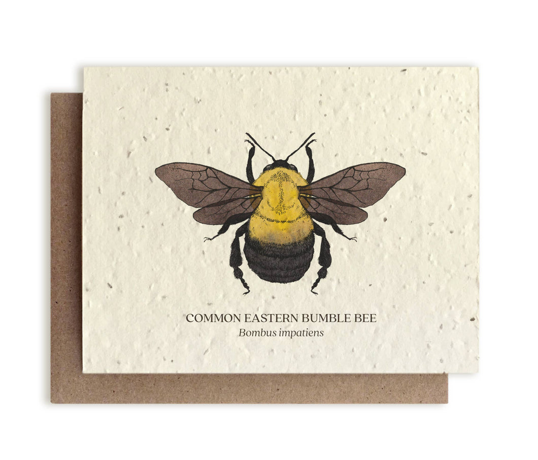 Bumble Bee Plantable Wildflower Seed Card