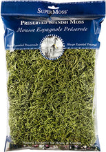Load image into Gallery viewer, SuperMoss - Preserved Spanish Moss: Basil
