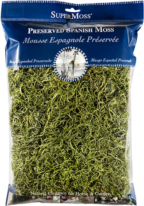 SuperMoss - Preserved Spanish Moss: Basil