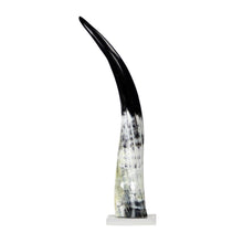 Load image into Gallery viewer, Blue Ocean Traders - Black and White Cow Horn on Base: Medium

