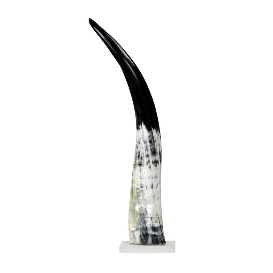 Blue Ocean Traders - Black and White Cow Horn on Base: Medium