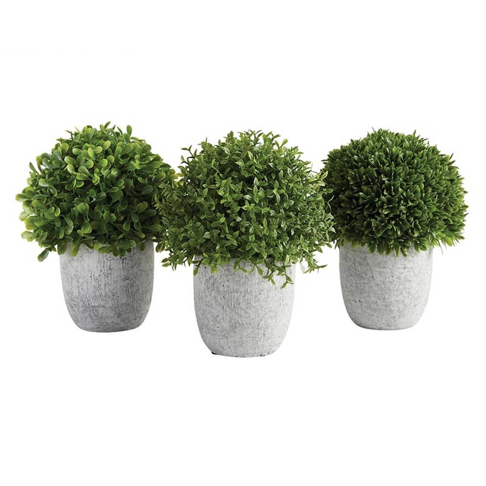 47th & Main (Creative Brands) - Topiary In Pot - Set of 2