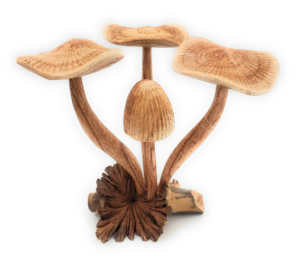 A Lost Art - Hand Carved Extra Large Wooden Magical Mushroom