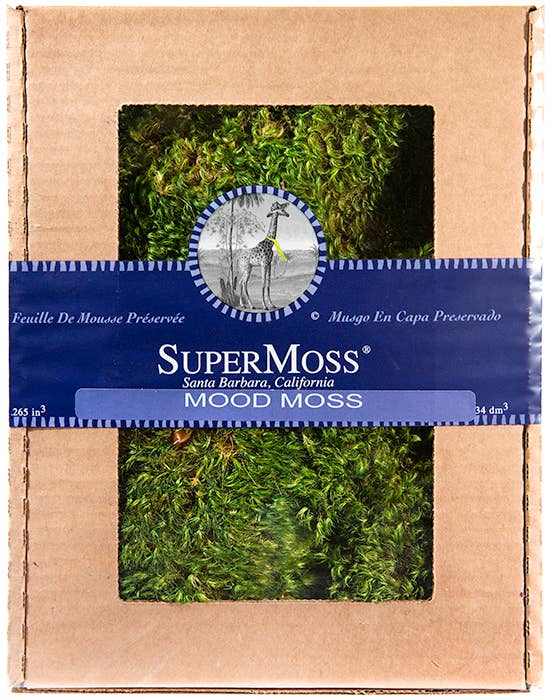 SuperMoss - Mood Moss Preserved – Floral Fêtes