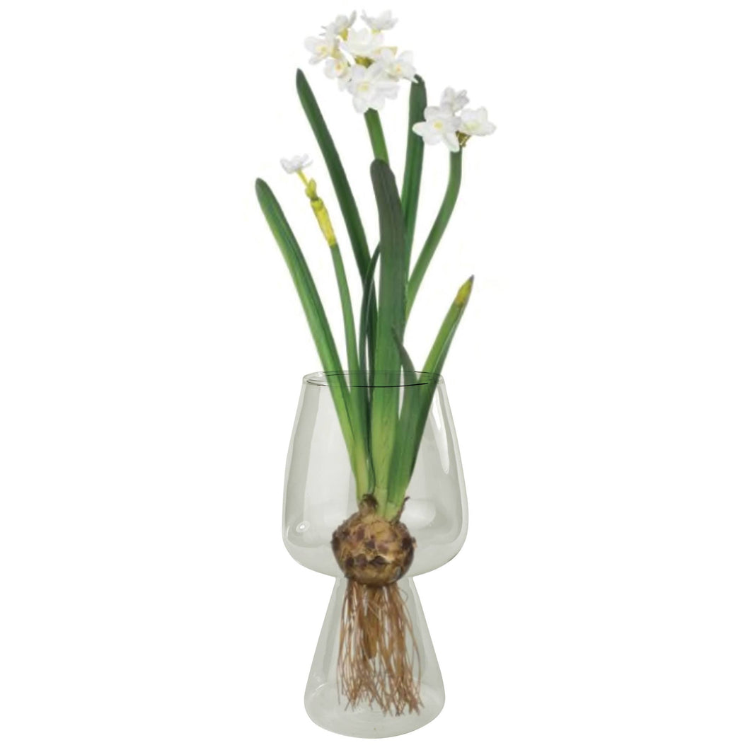 HomArt - Bulb Vase, Glass: Glass / Clear