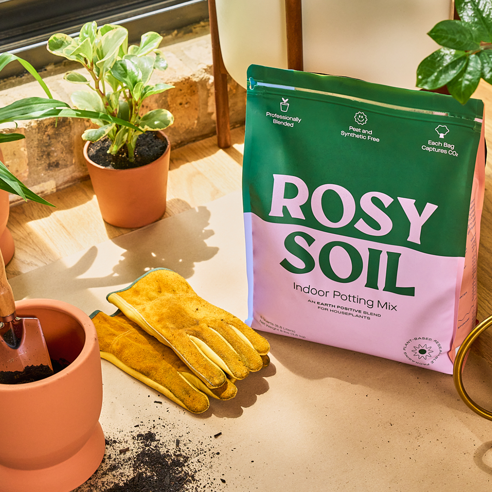 Rosy Soil - 8qt Organic potting soil mix, indoor, houseplant & herbs