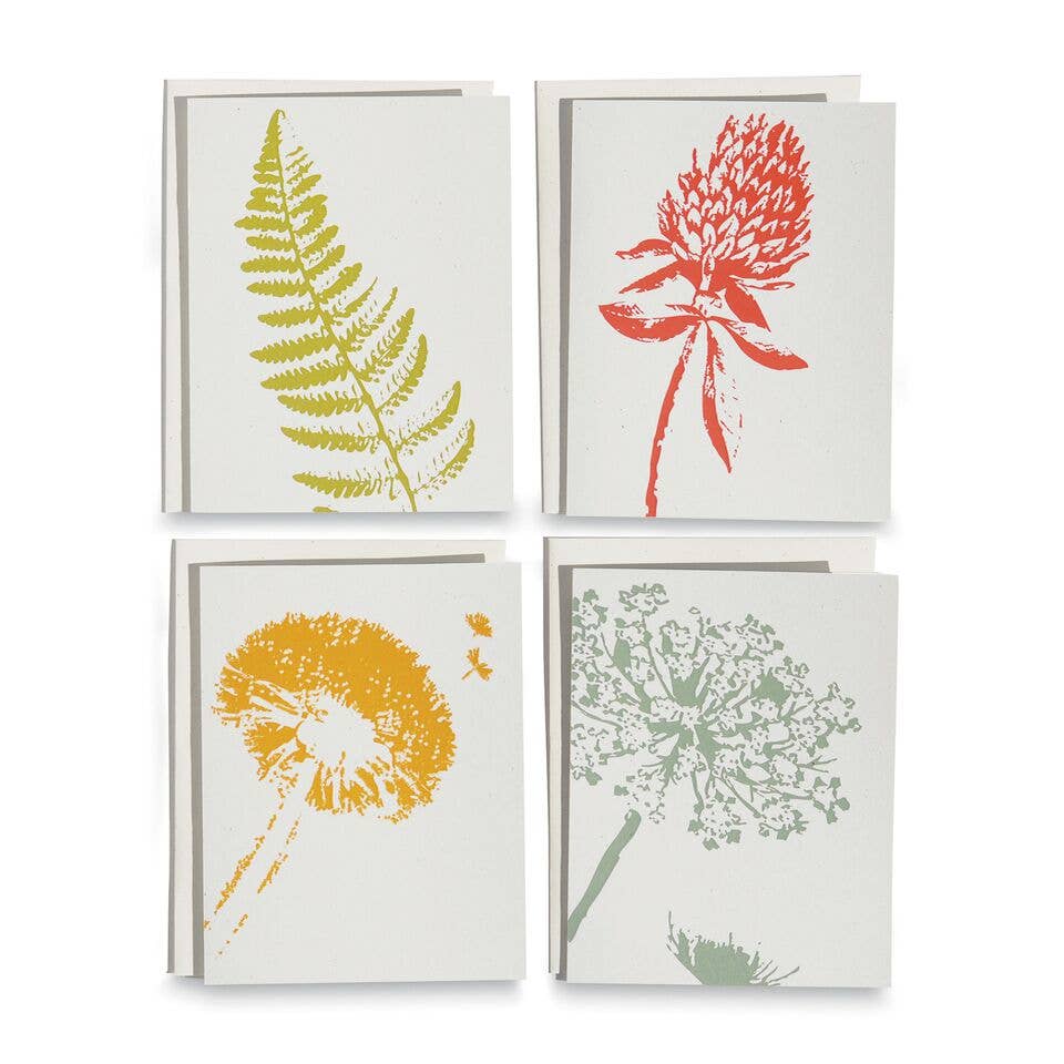 Wild Pretties Cards / Boxed Set Of 8